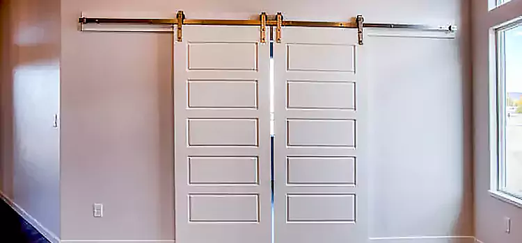 Glass Barn Door with Installation Hardware Kit Madison Heights