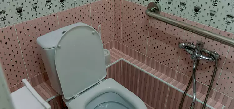Meeting Diverse Needs With Accessible Restroom Solutions in Madison Heights, MI