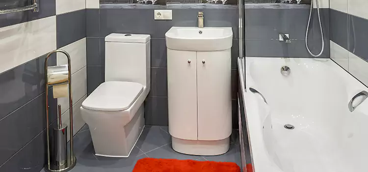 Hansgrohe Shaving Mirror Madison Heights